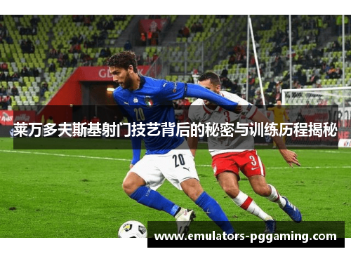 莱万多夫斯基射门技艺背后的秘密与训练历程揭秘 莱万多夫斯基射门技艺背后的秘密与训练历程揭秘