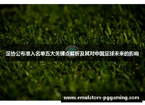 足协公布准入名单五大关键点解析及其对中国足球未来的影响 足协公布准入名单五大关键点解析及其对中国足球未来的影响