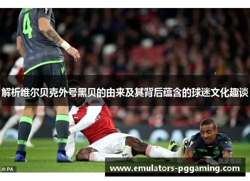 解析维尔贝克外号黑贝的由来及其背后蕴含的球迷文化趣谈