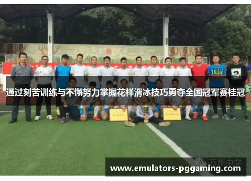 通过刻苦训练与不懈努力掌握花样滑冰技巧勇夺全国冠军赛桂冠