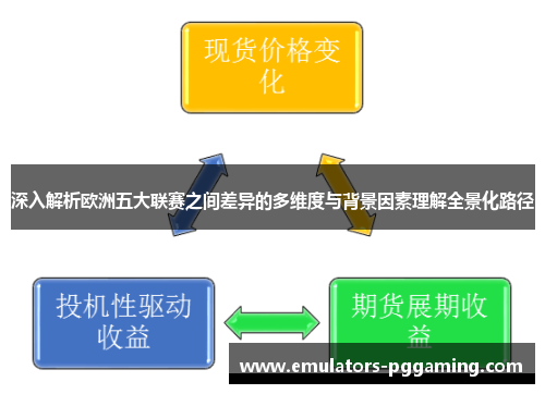 深入解析欧洲五大联赛之间差异的多维度与背景因素理解全景化路径 深入解析欧洲五大联赛之间差异的多维度与背景因素理解全景化路径