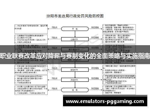 职业联赛改革应对降薪与赛制变化的全面策略与实施指南