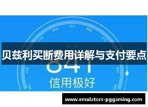 贝兹利买断费用详解与支付要点