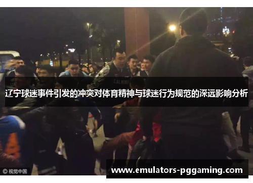 辽宁球迷事件引发的冲突对体育精神与球迷行为规范的深远影响分析